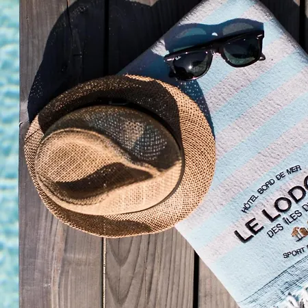 Le Des Iles D'or イエール