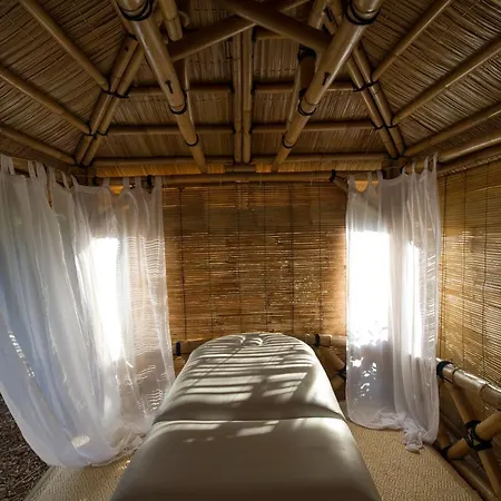 酒店 Le Des Iles D'or