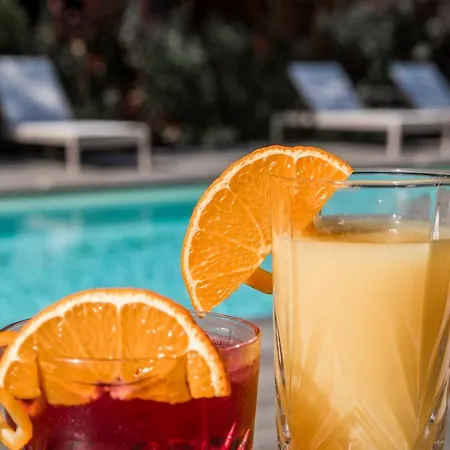 Le Des Iles D'or 酒店 4*