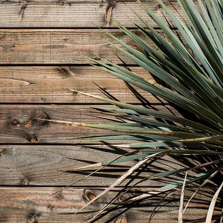 酒店 Le Des Iles D'or