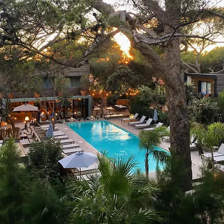 酒店 Le Des Iles D'or 耶尔