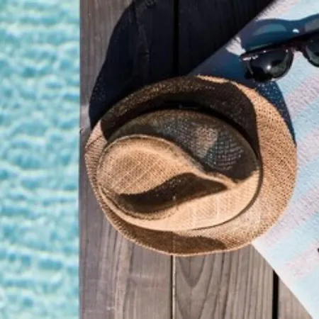 酒店 Le Des Iles D'or 耶尔