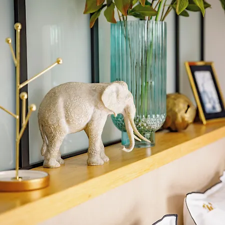 酒店 Le Des Iles D'or 耶尔