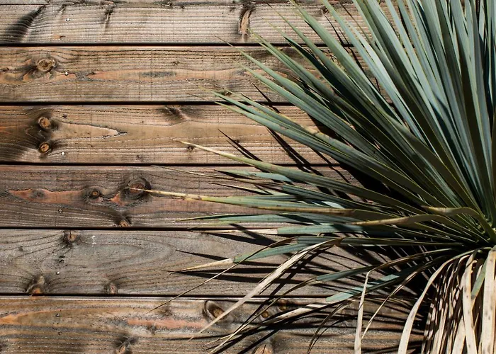 Hotell Le Des Iles D'or