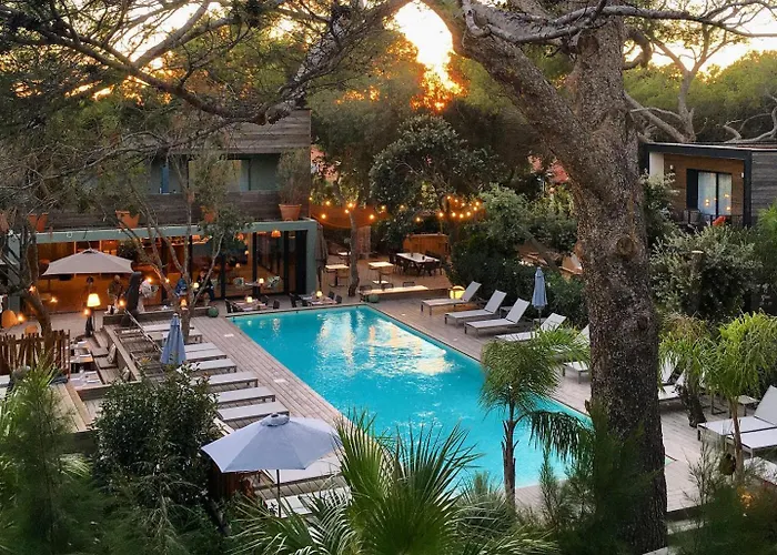 Hotell Le Des Iles D'or Hyères